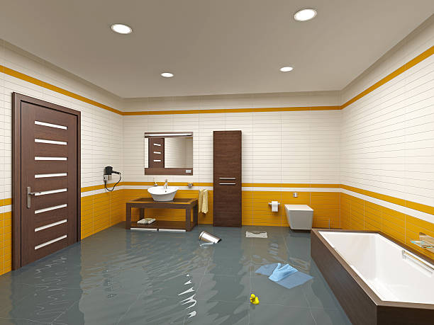 Best Basement Water Damage Restoration in Kent, WA